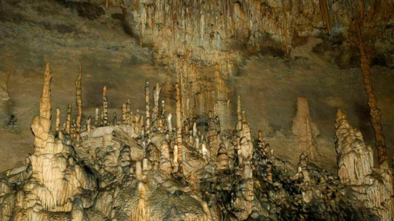 Quiocta1